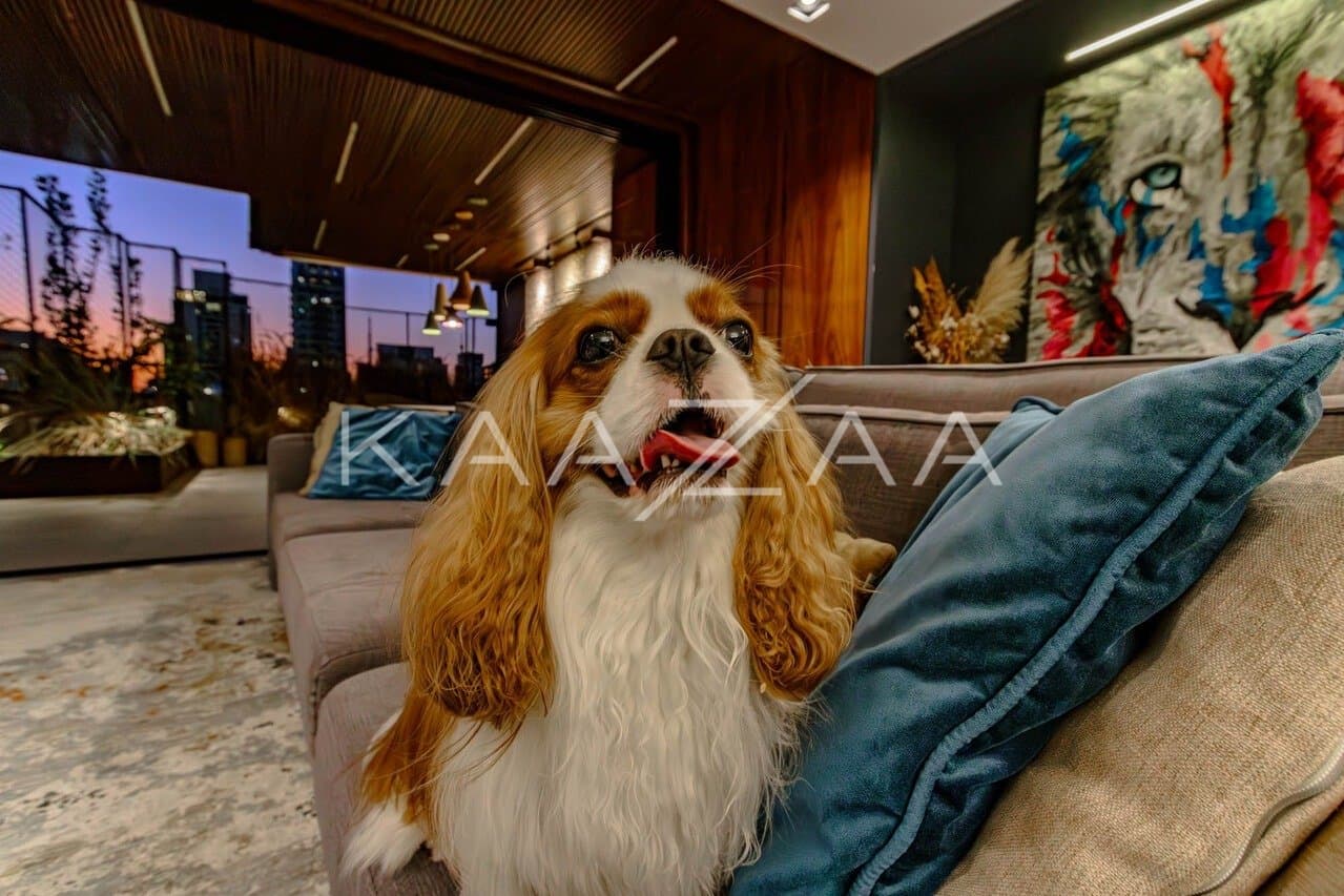 Cobertura à venda no Jardins - Foto 9