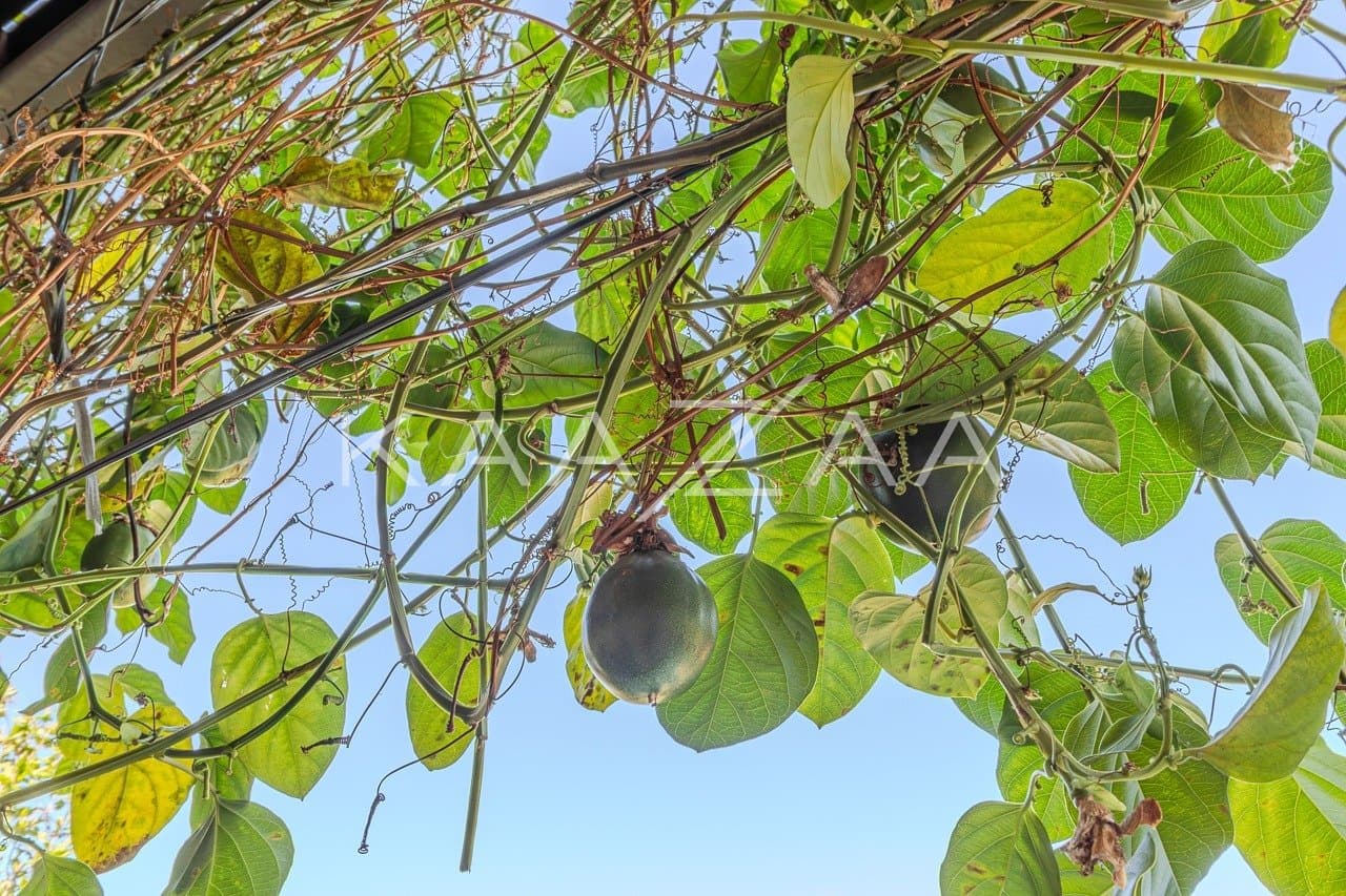 Casa à venda em Boaçava - Foto 19